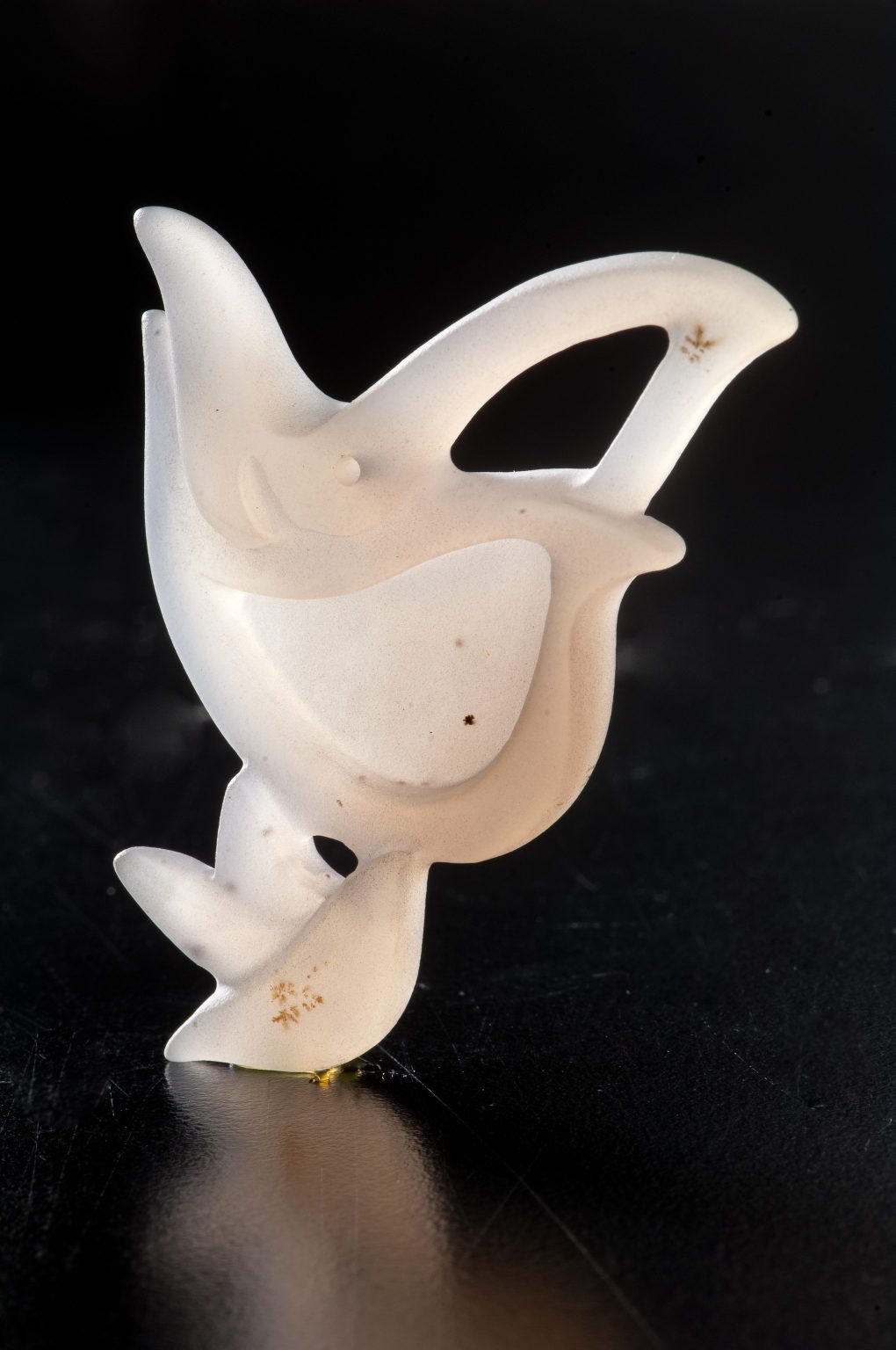 L’oiseau